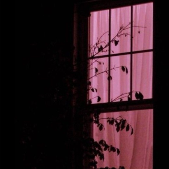 Meet your Posher, Risette - Picture 14 of 15